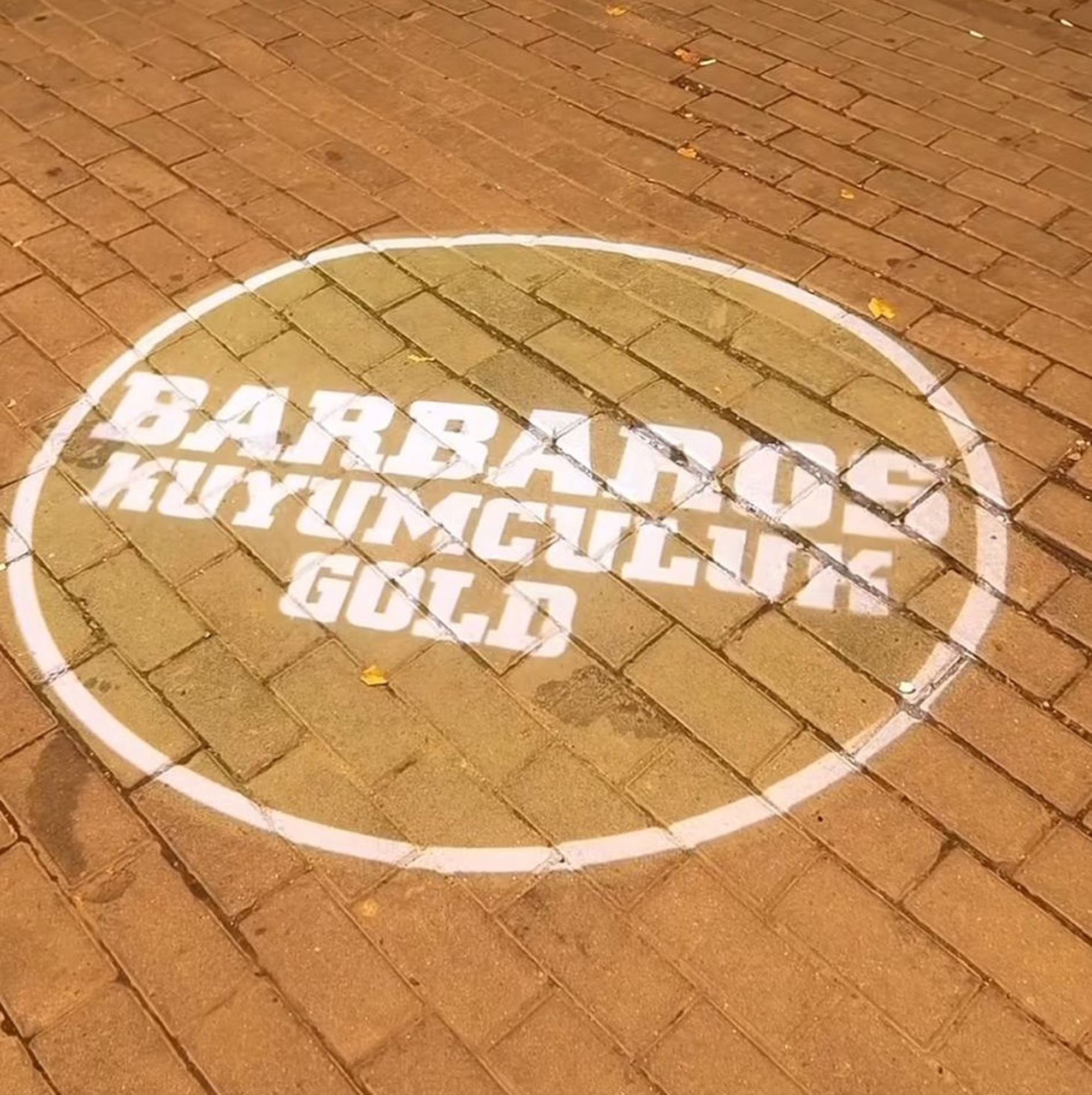 Toplantı ve Sunum Alanlarında Logo Yansıtma ile Markalı Atmosfer Oluşturma