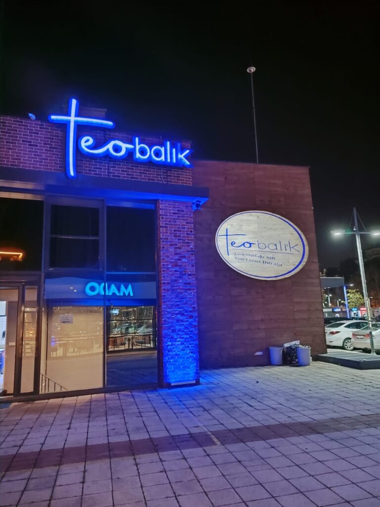 logo projektör